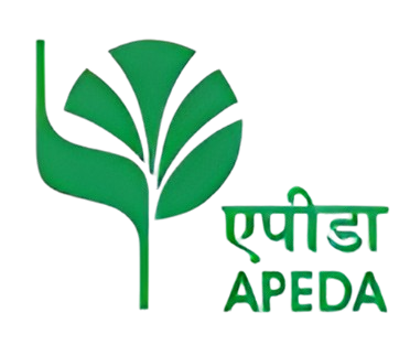 IEC Logo
